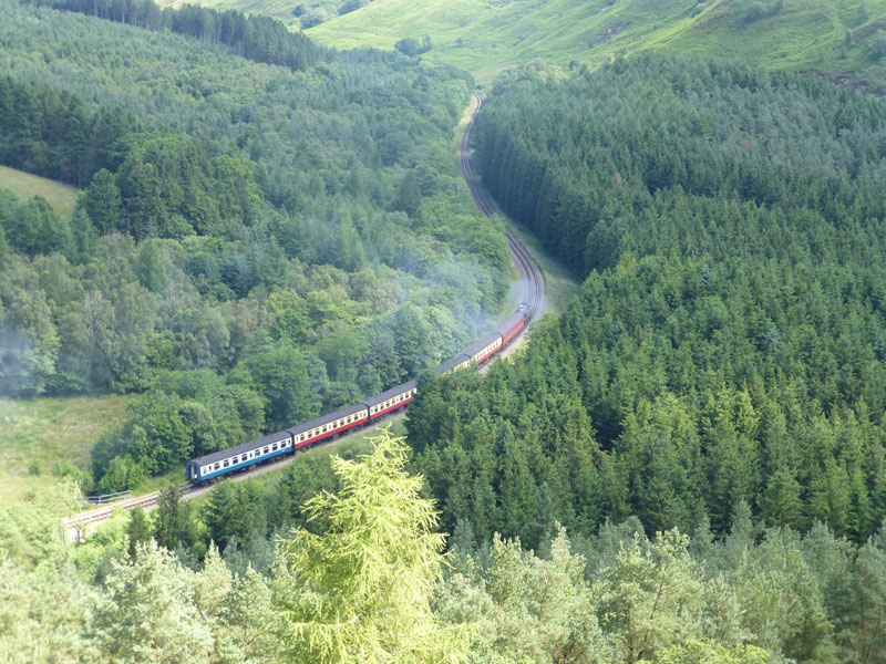 No 80072