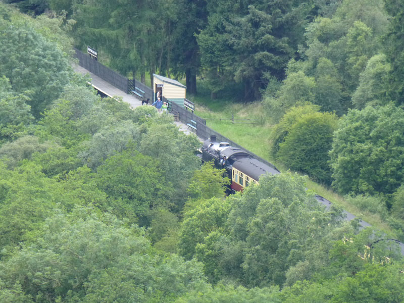 Train at Newton Dale