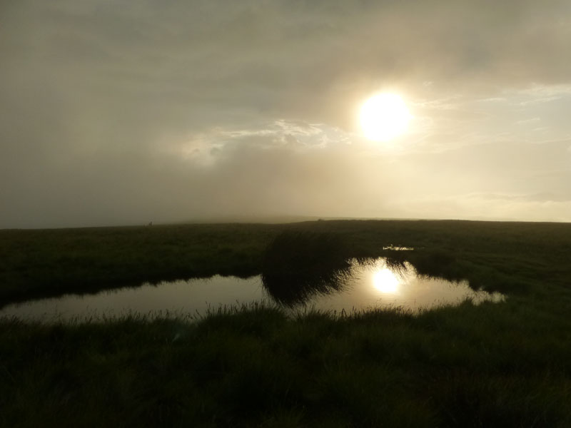 Pendle Mist