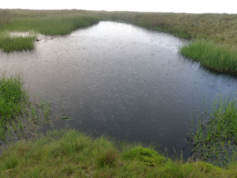 Pendle Puddle