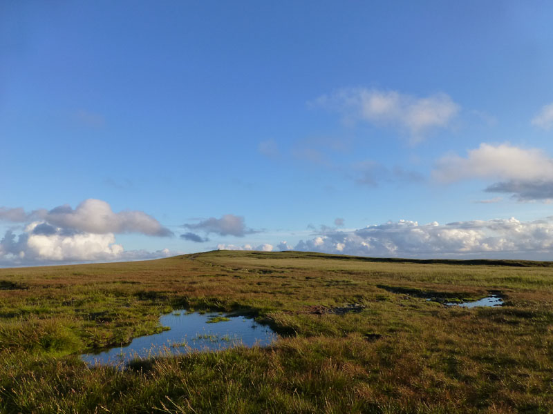 Pendle Puddle