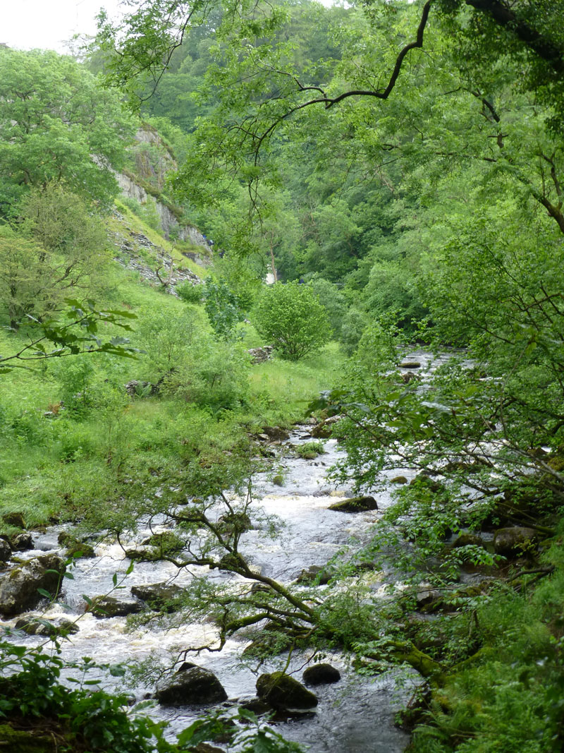 Pecca Glen