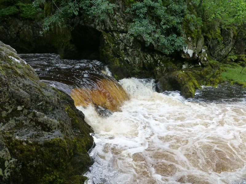 Water Action