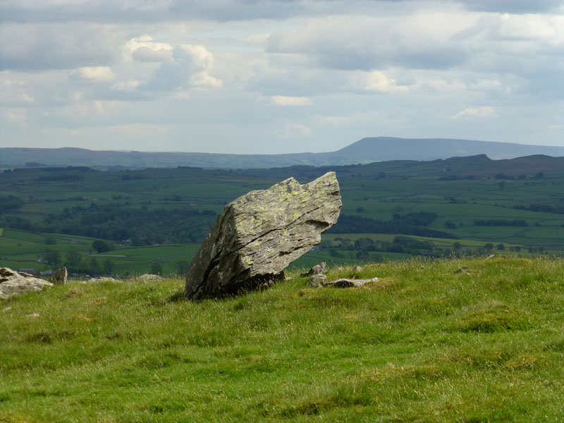 Norber Erratic