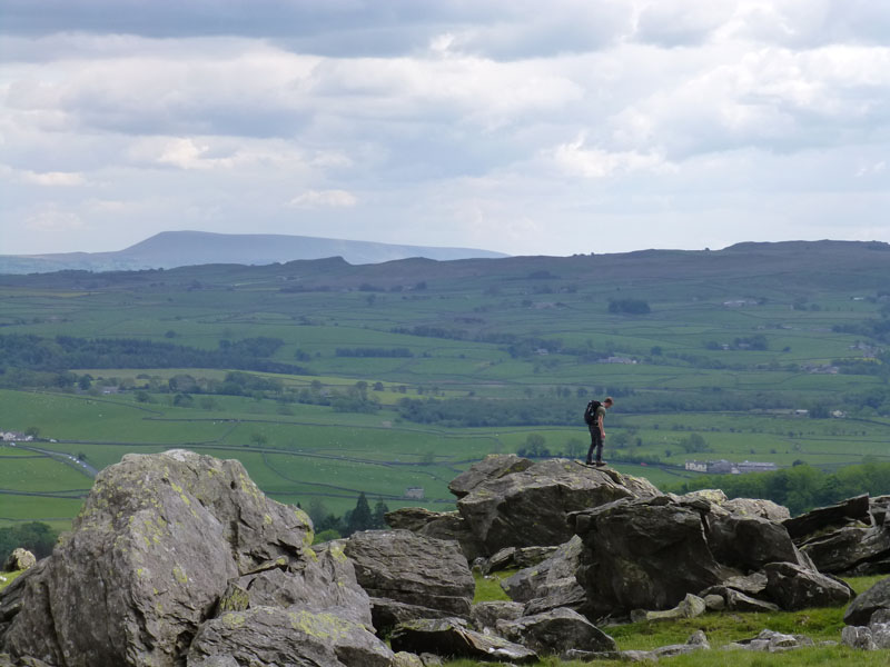 Norber Erratic