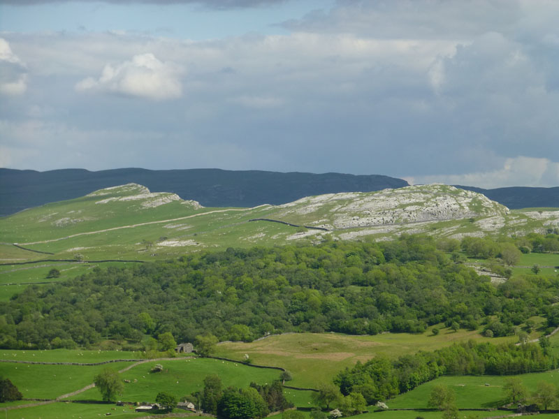 Limestone Scars