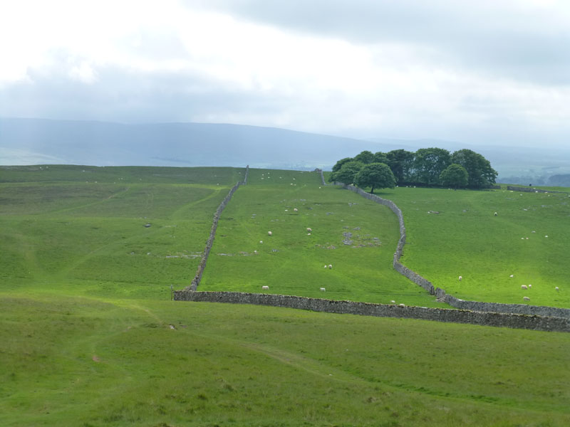 Smardale Fell