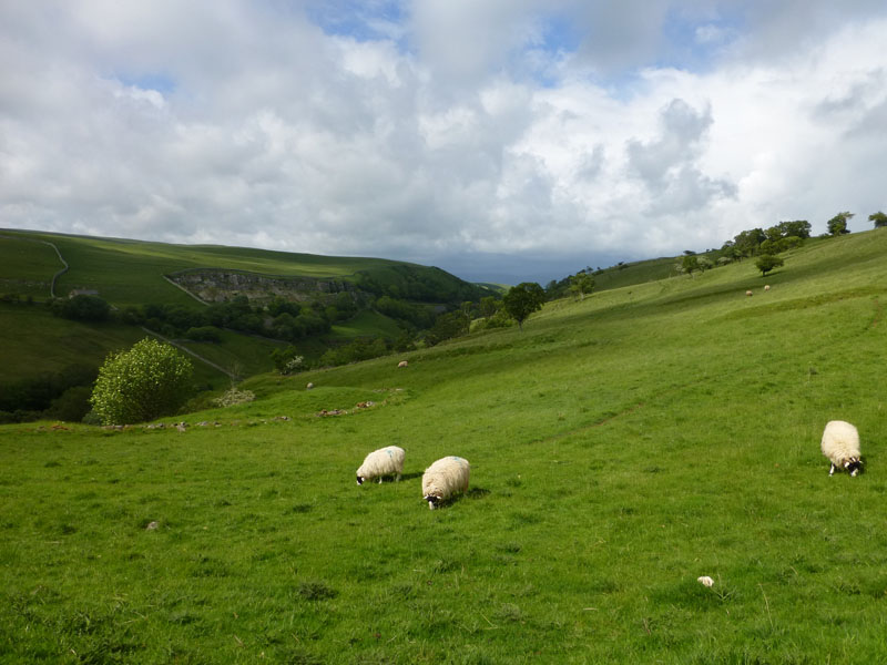 Smardale Gill