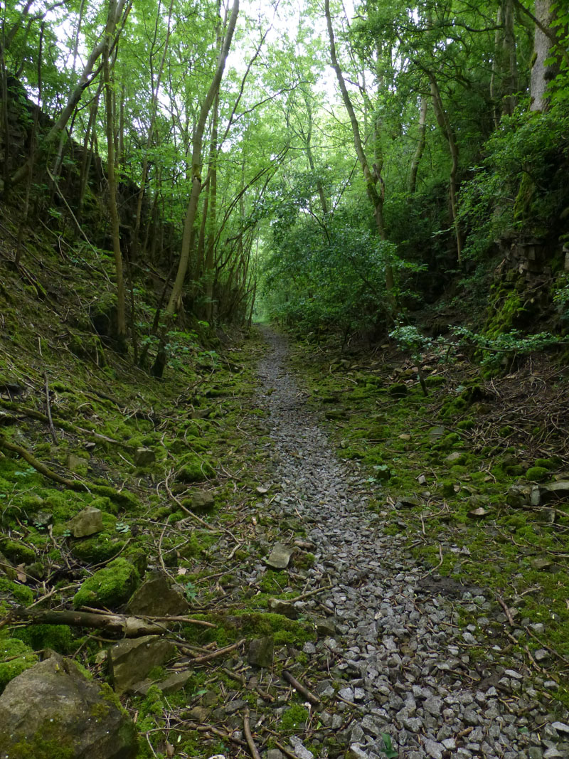 Railway Cutting