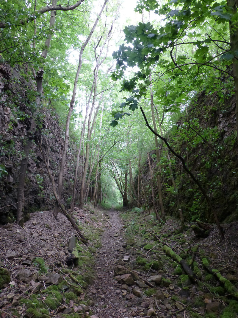 Railway Cutting