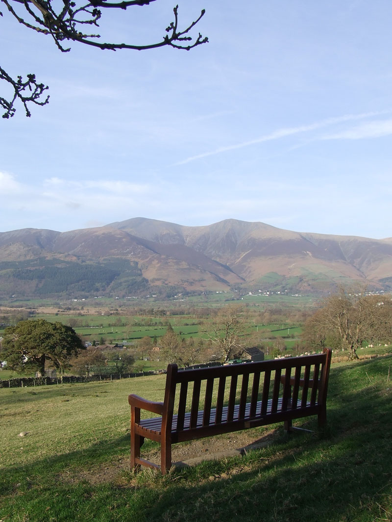 The Bench