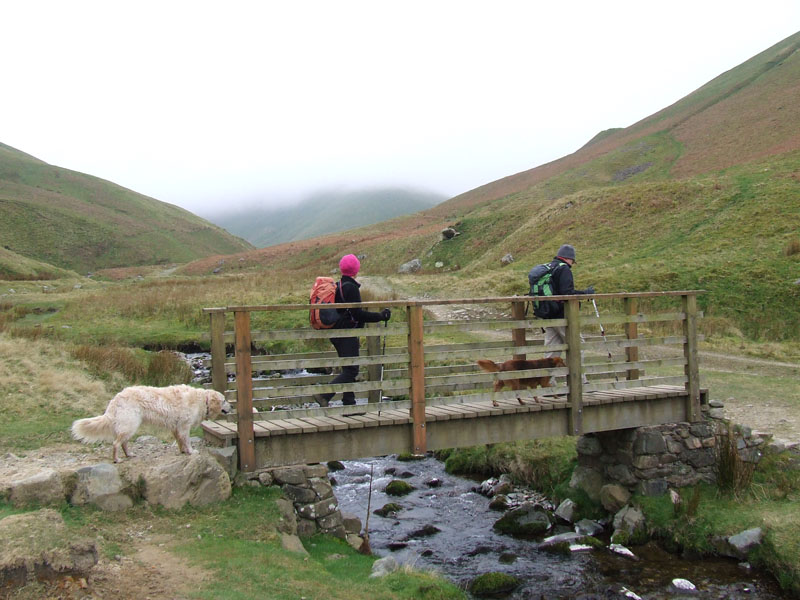 Walkers on a bridge