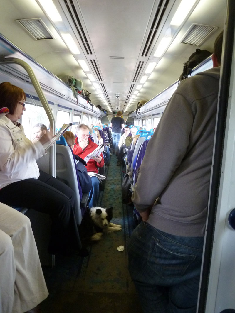Crowded Carriage