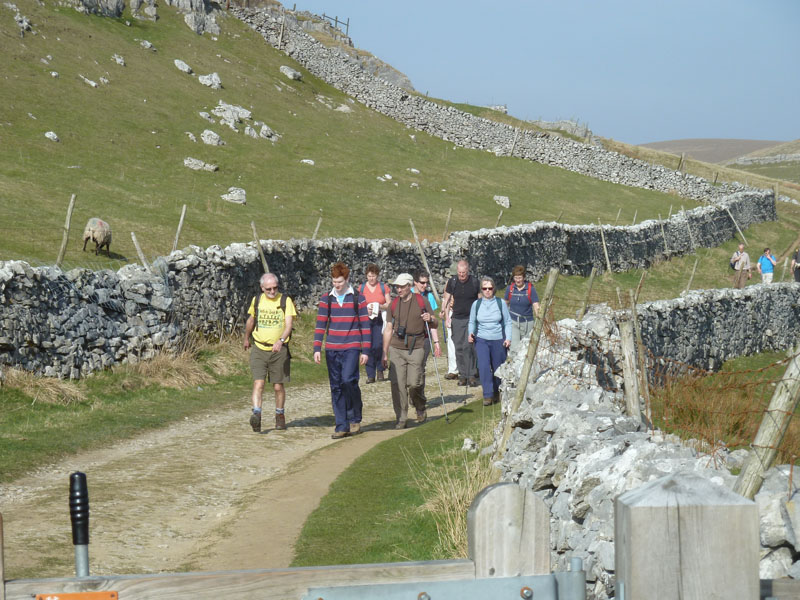 Walking party