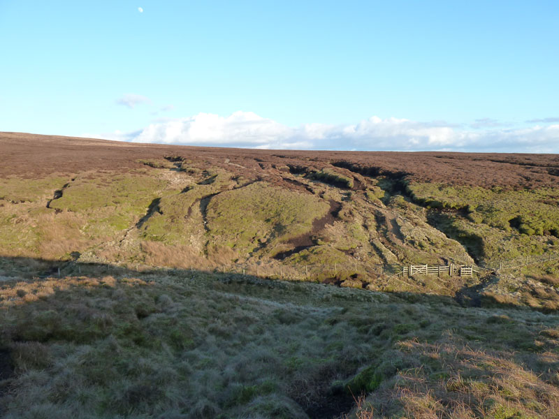 Ogden Clough