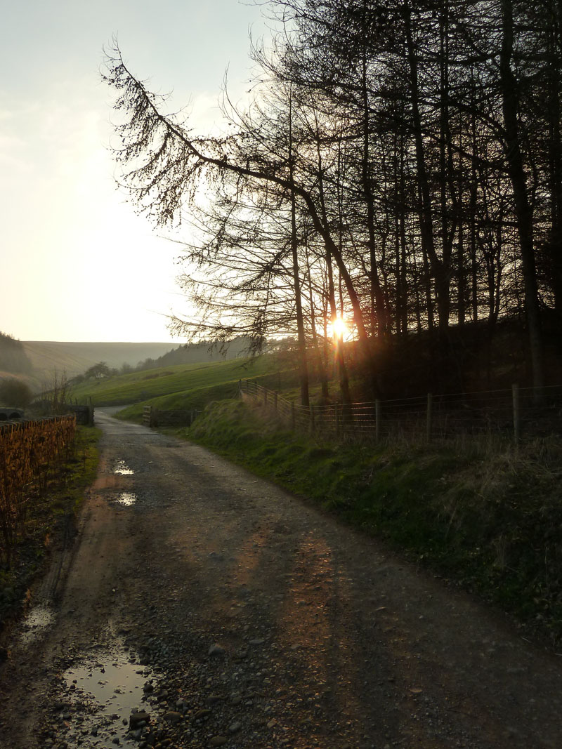 Pendle Walk