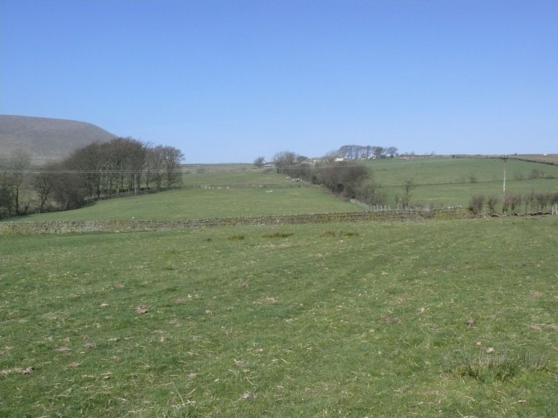 Fields of Barley