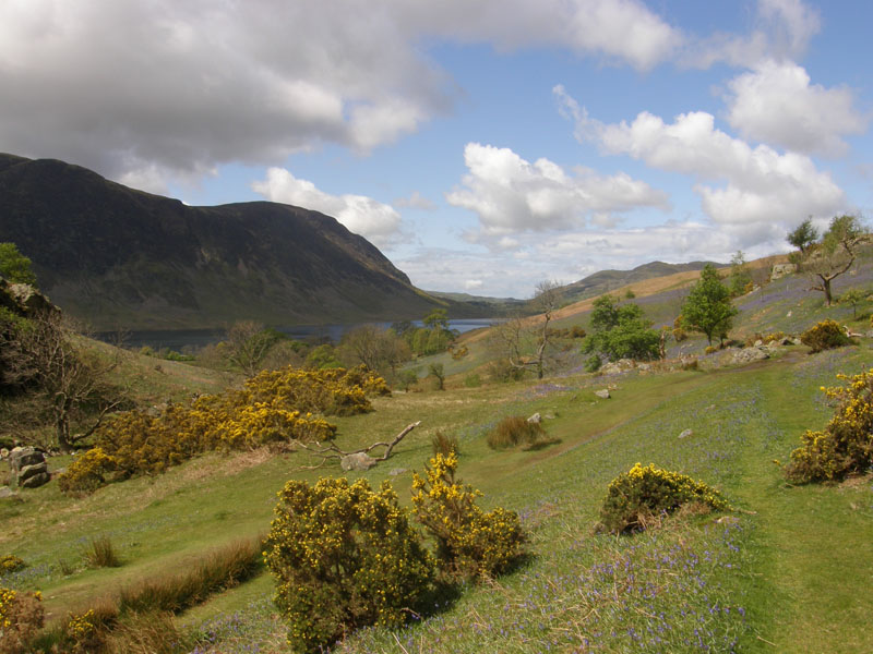 Mellbreak and Crummock Water