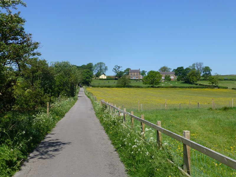 Barrowford Walk