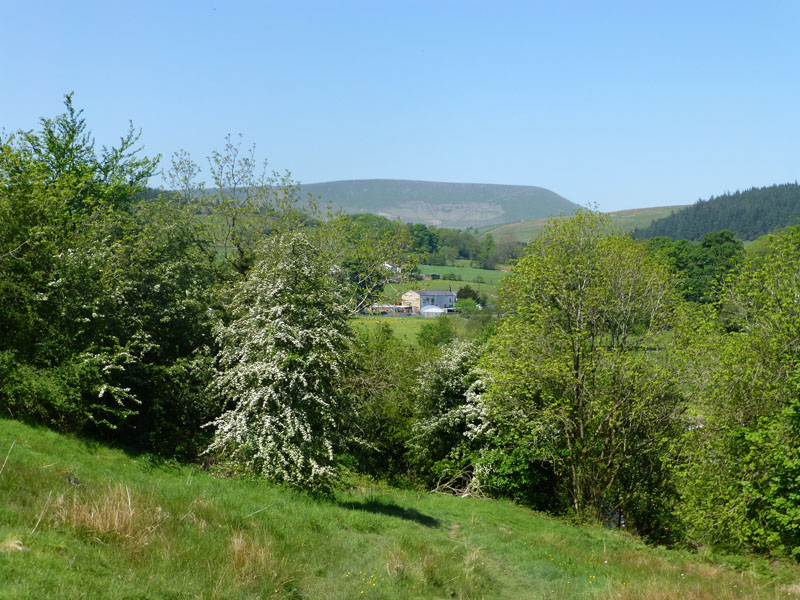 Hawthorne and Pendle