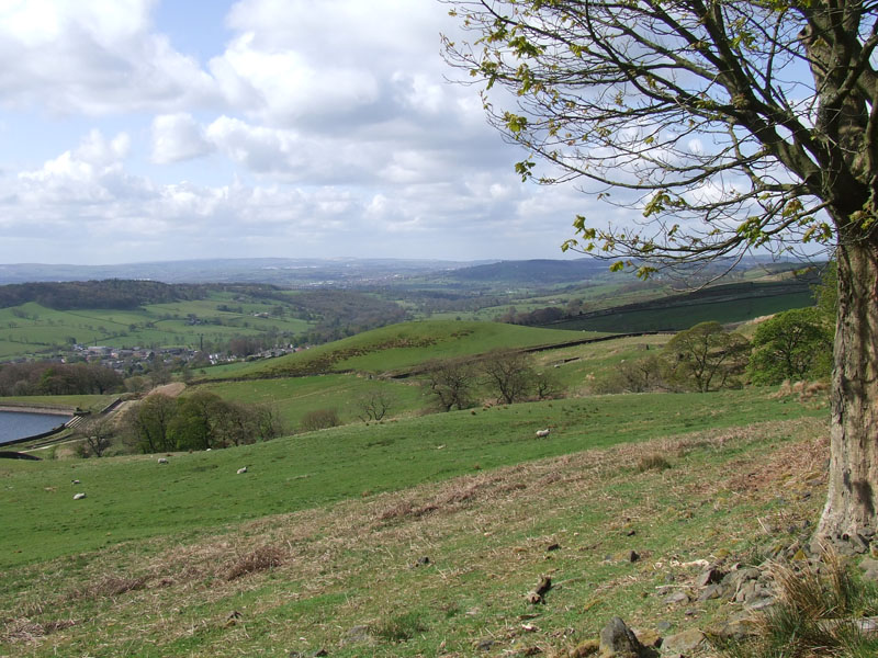 Calf Hill