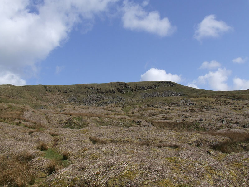 Deerstones