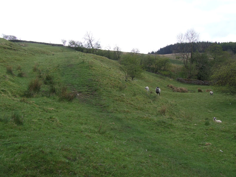 Pendle Walk