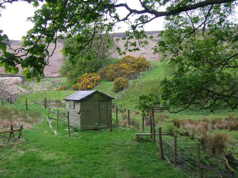 Stan's Hut