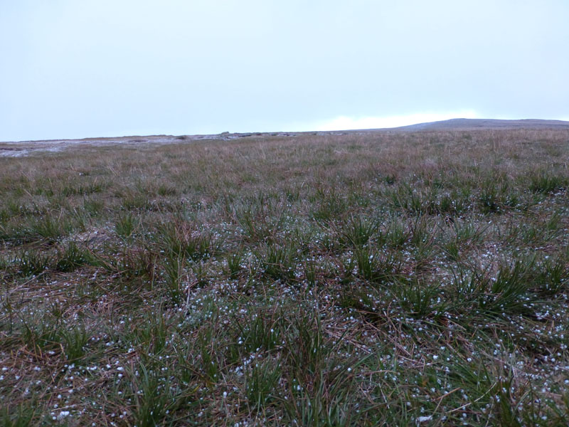 Hailstones on Pendle Hill