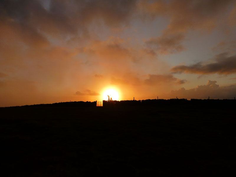 Pendle Sun