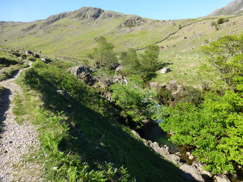 Nether Beck