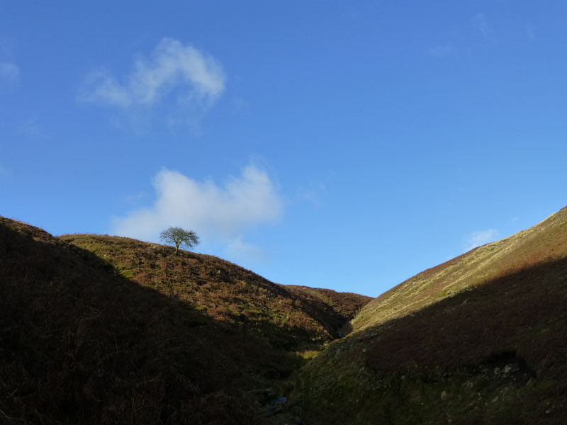 Boar Clough Pendle