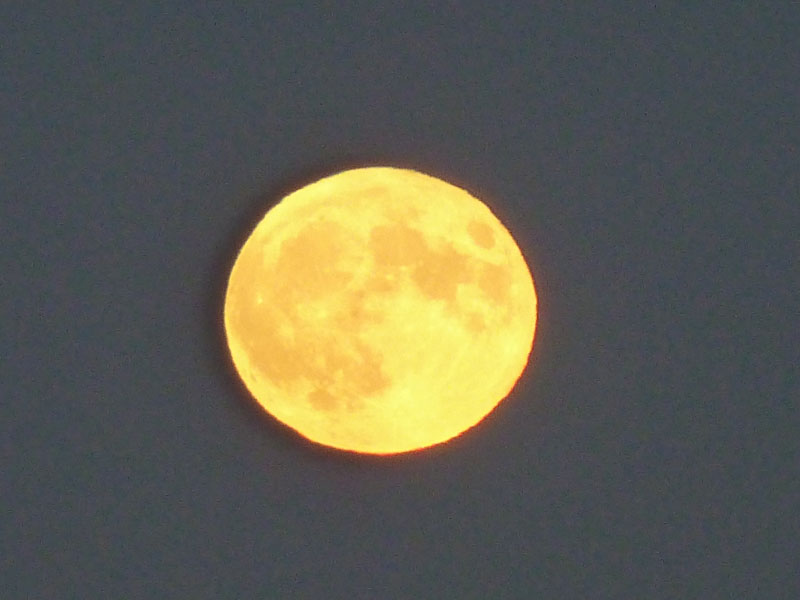 Yellow Moon