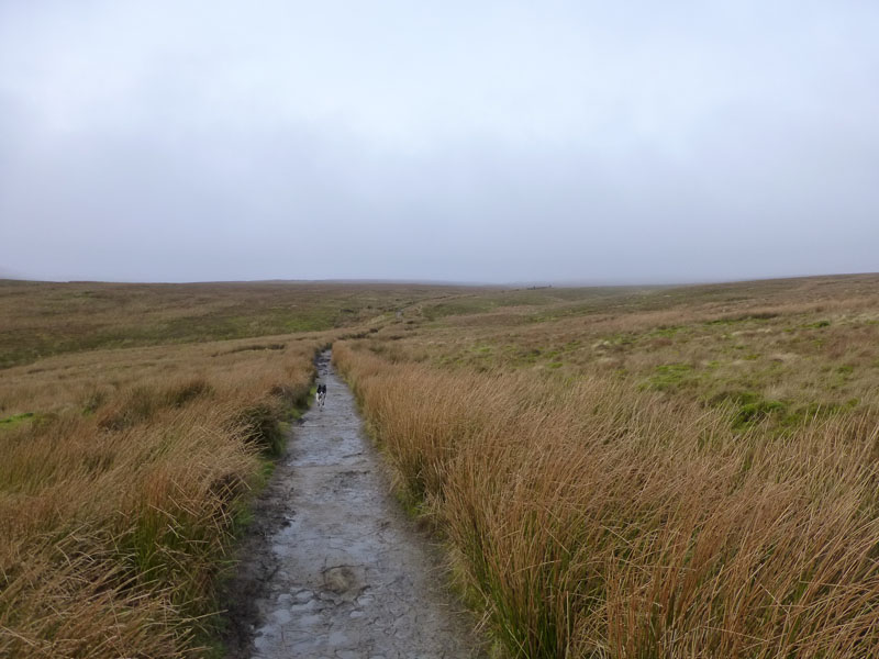 Whernside Path