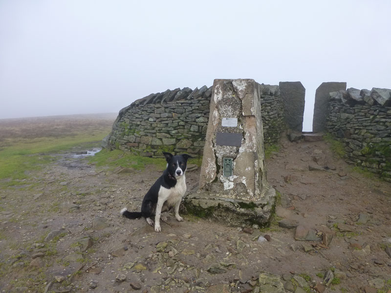 Whernside Summit