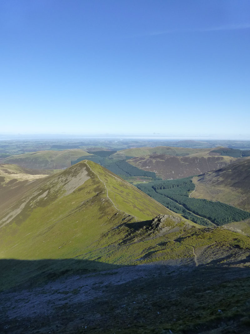 Ladyside Pike