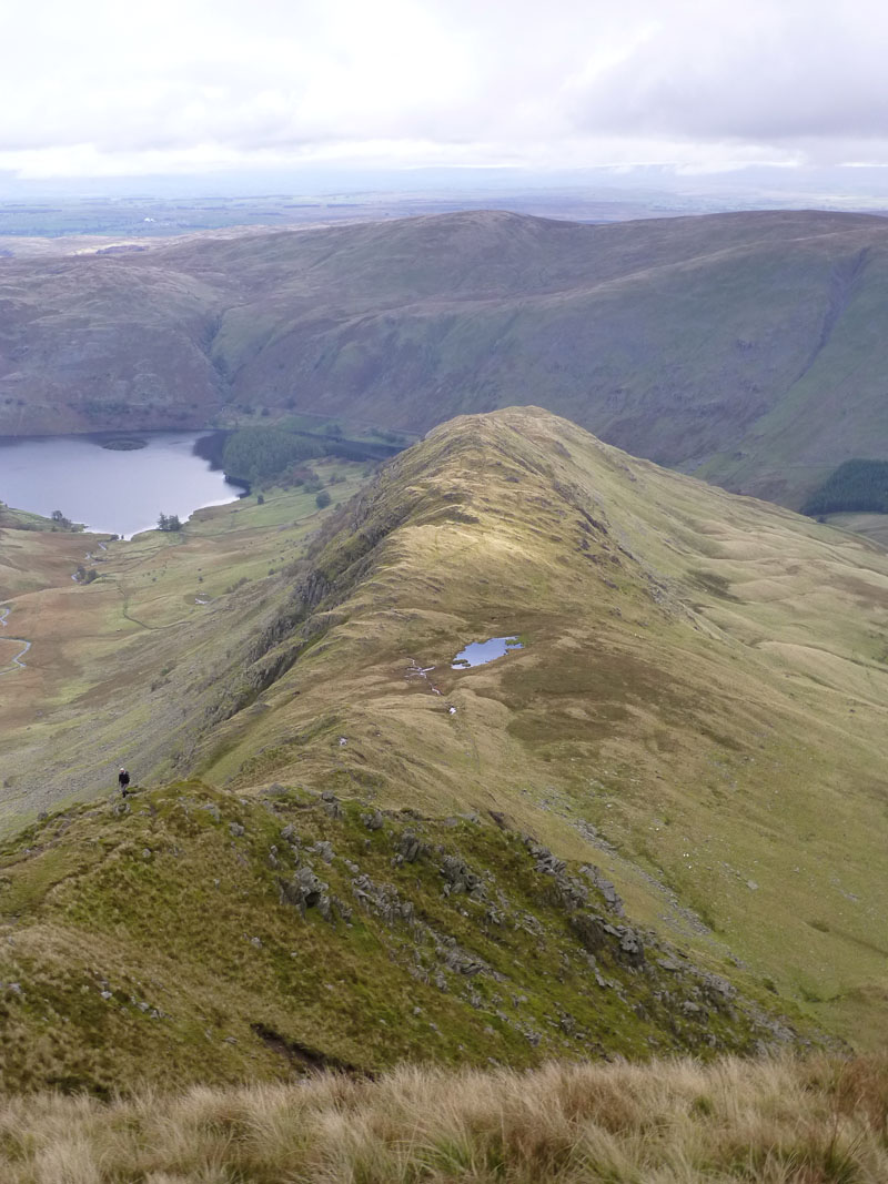 Rough Crag