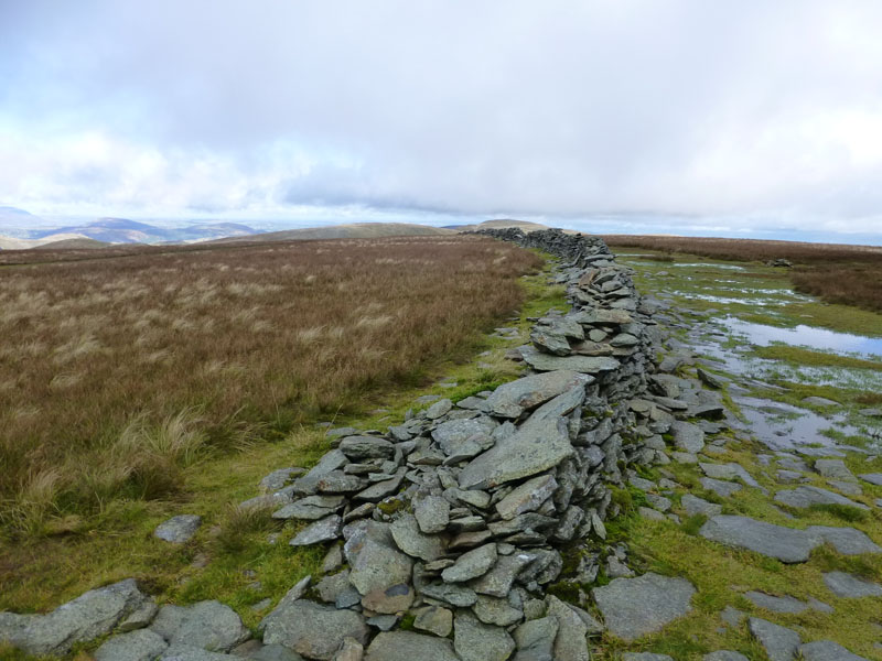 The Wall on High Street