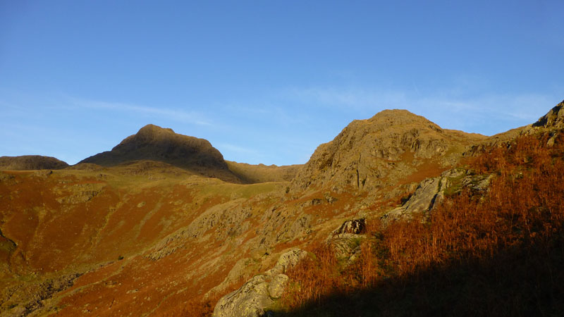 Harrison Stickle