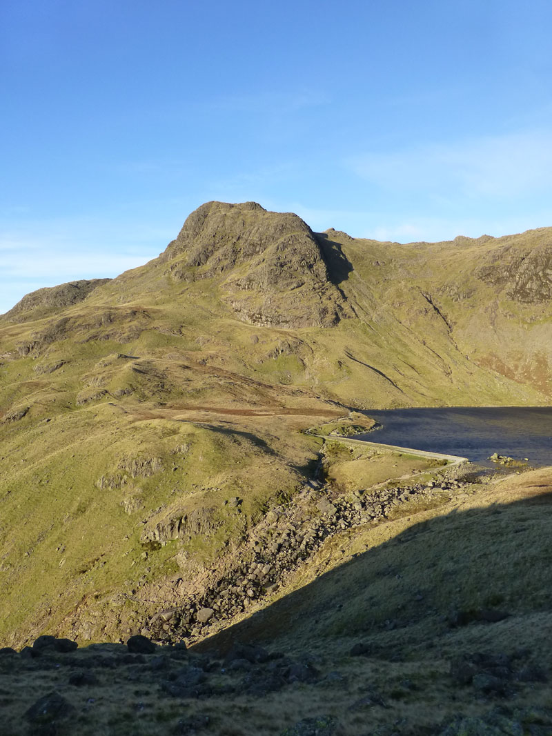 Harrison Stickle