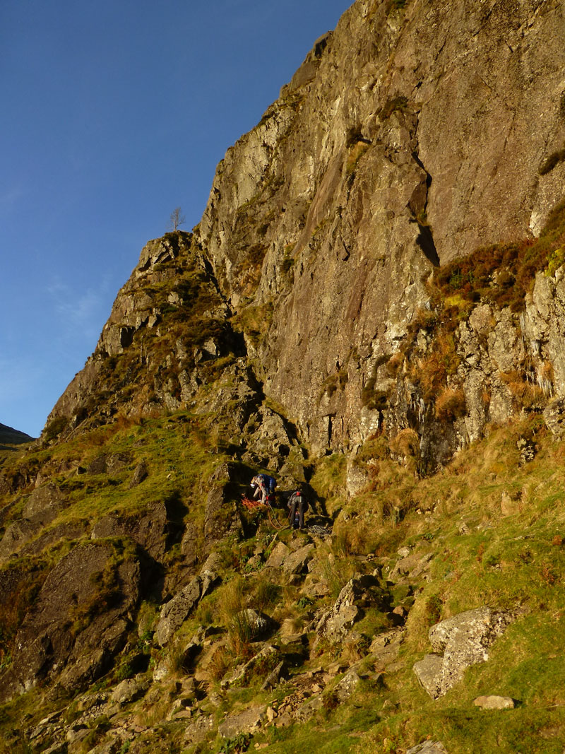 Jack's Rake