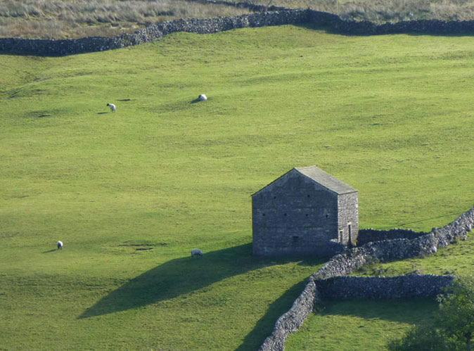 Barn in field