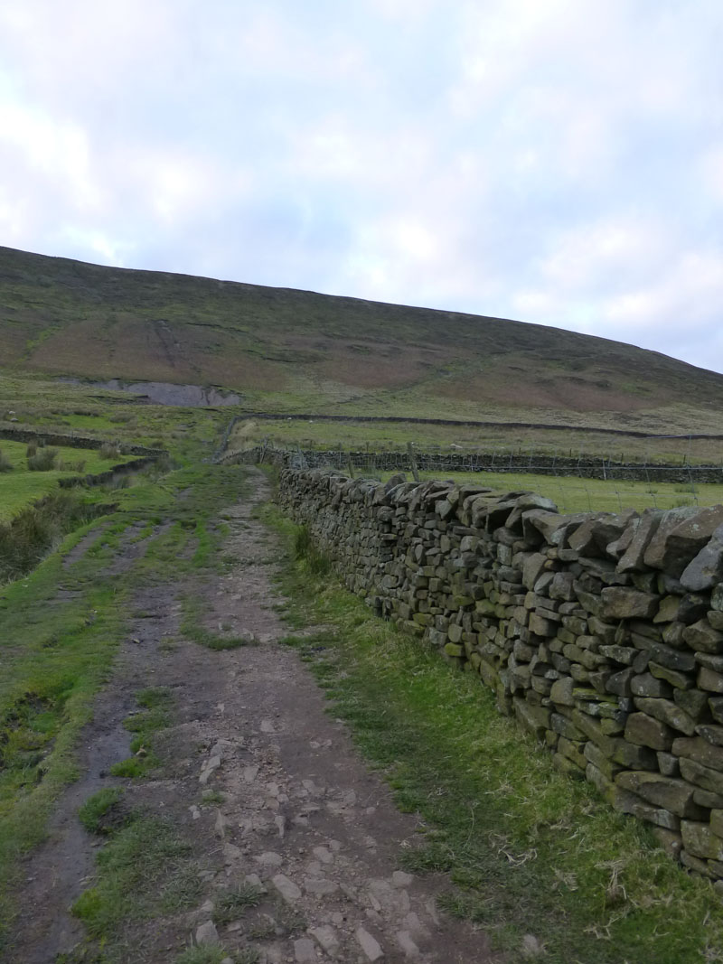 The Steps