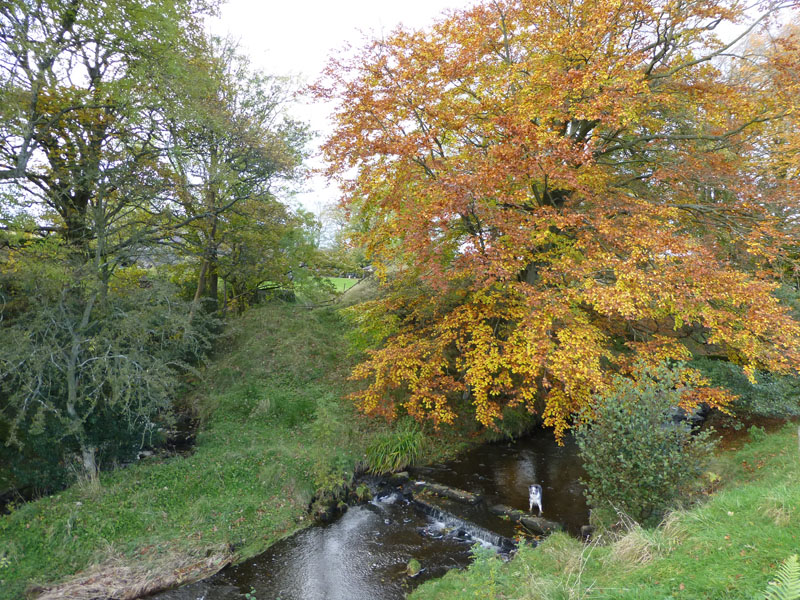 Autumn Colours