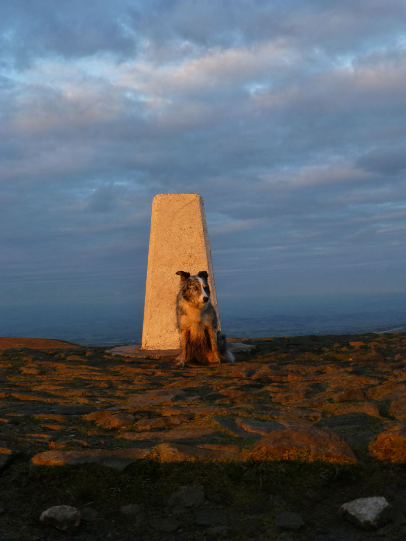 Izzy at Pendle Summit