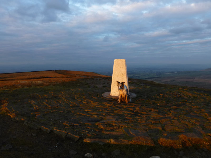 Pendle Top with Izzy