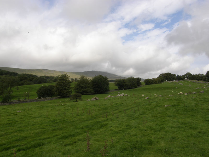 Whernside