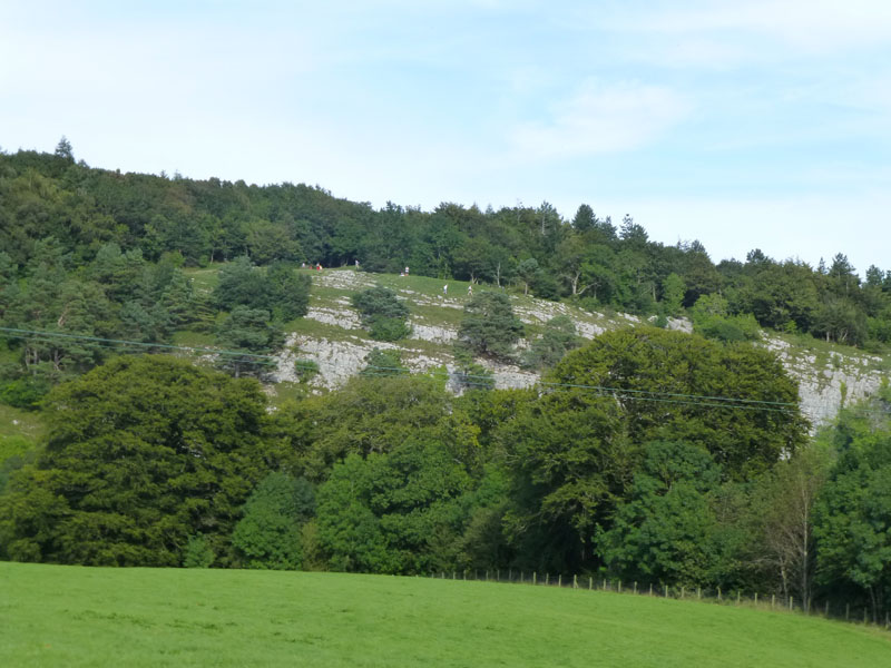 Limestone at Loggerheads