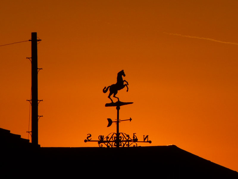Horse Sunset