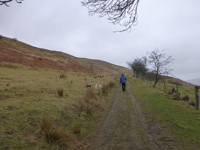 Ling Fell